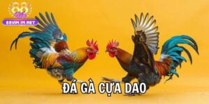 Tại Sao Đá Gà Cựa Dao 88vin Luôn Hút Giới Bet Thủ?